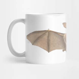 Lesser Long Eared Bat Mug